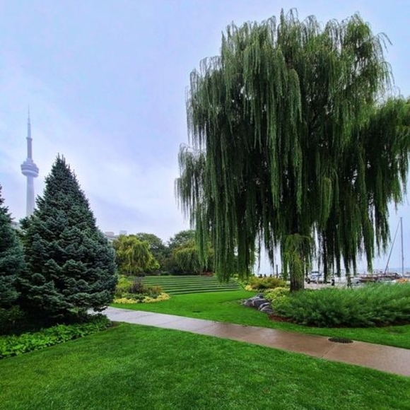 Meet your Posher, Ted - Picture 1 of 1